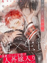 美女漫画改编电视剧免费看
