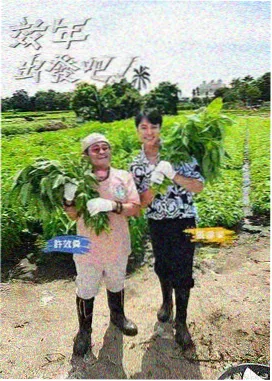 美女剧集推荐